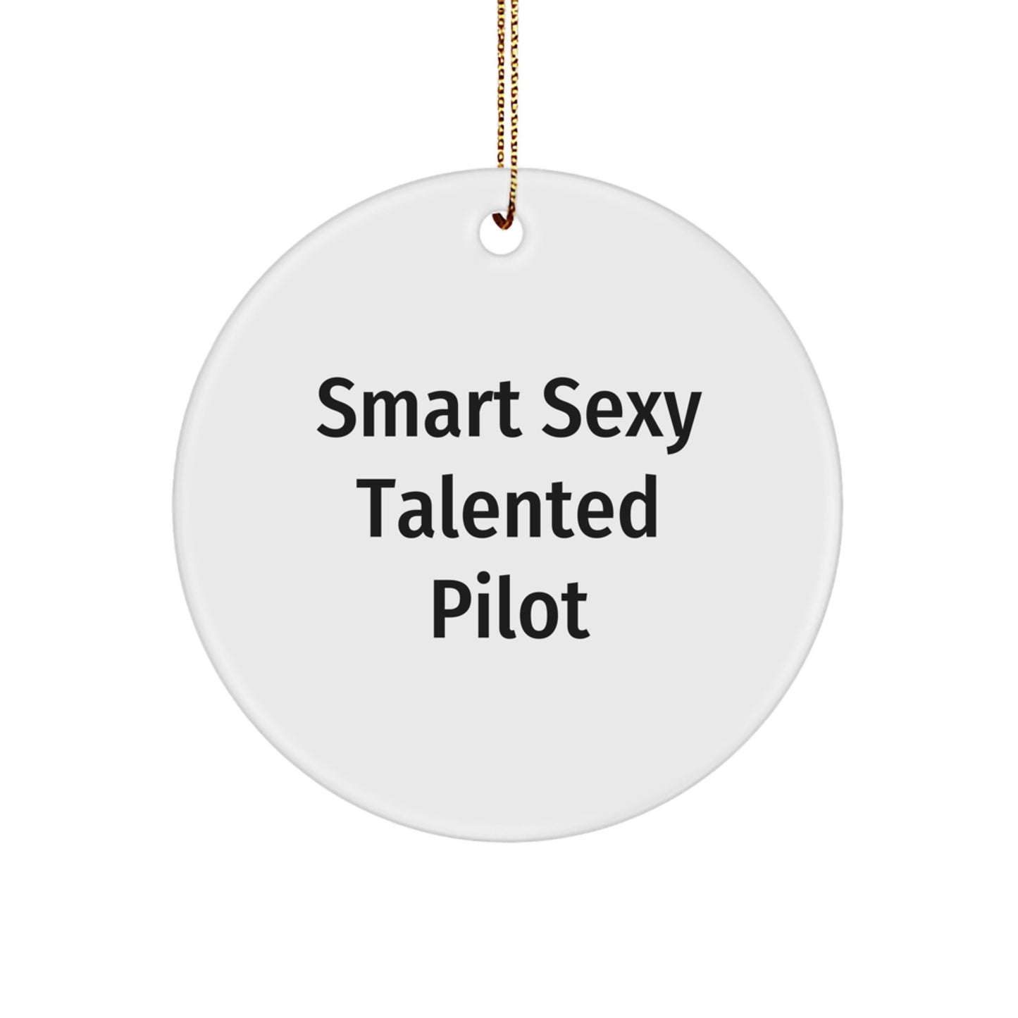 Smart Sexy Talented Pilot Christmas Ornament Gifts for Pilot from Friends, Perfect Pilots Gift for Men, Pilot Christmas Unique Gifts - Image 1