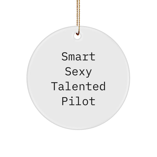 Smart Sexy Talented Pilot Christmas Unique Gifts from Family for Pilot Friends - Image 1