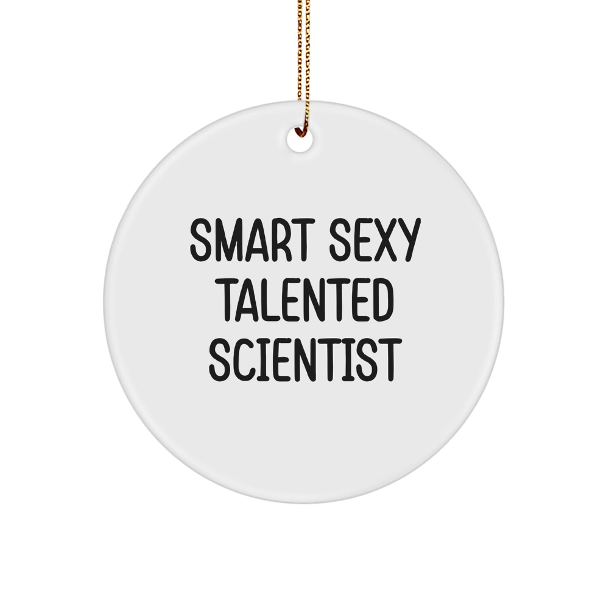 Smart Sexy Talented Scientist Circle Ornament, Funny Gifts from Friends for Christmas - Image 1