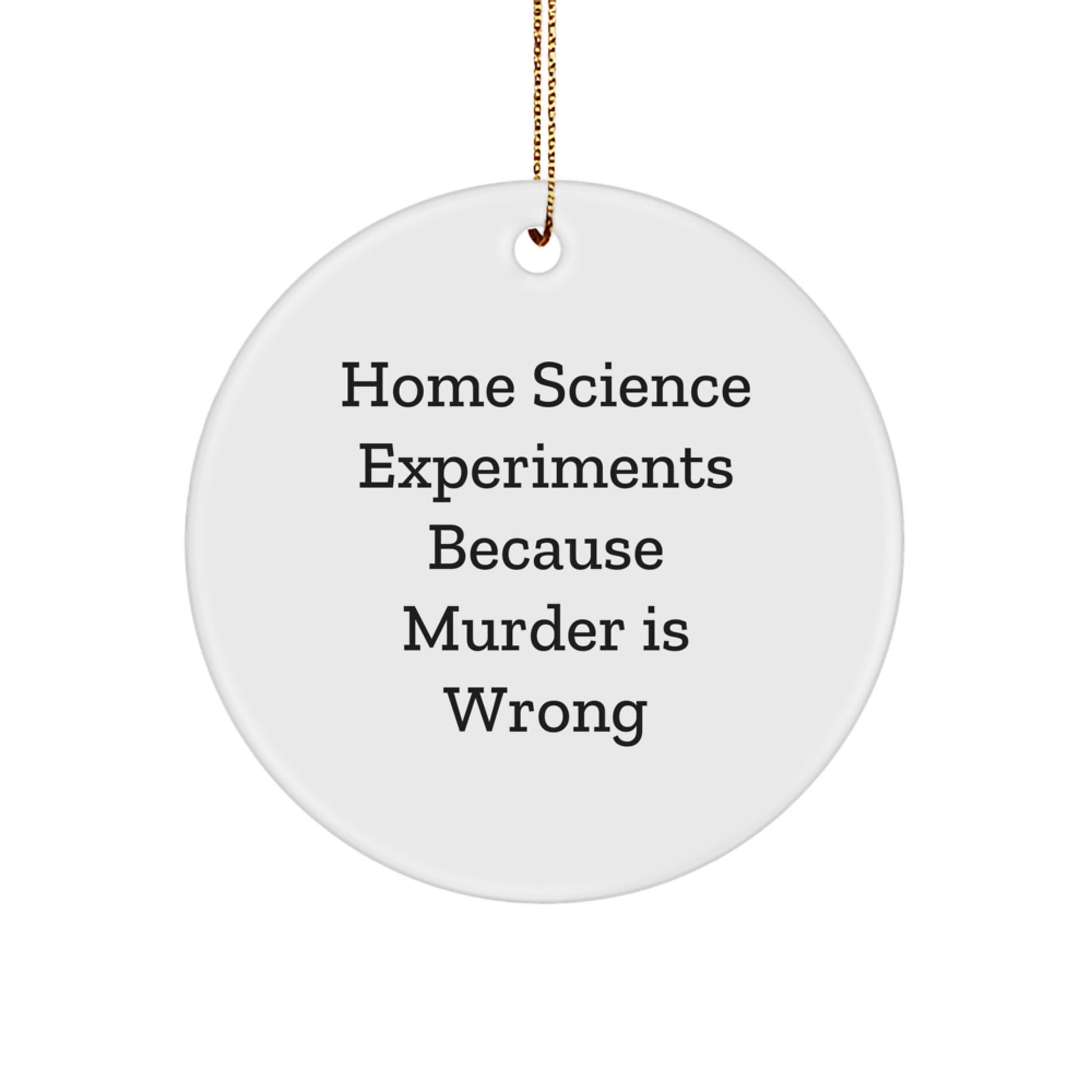 Funny Home Science Experiments Circle Ornament Gifts from Family for Men and Women - 'Home Science Experiments Because Murder Is Wrong' - Unique Christmas Decorations - Image 1