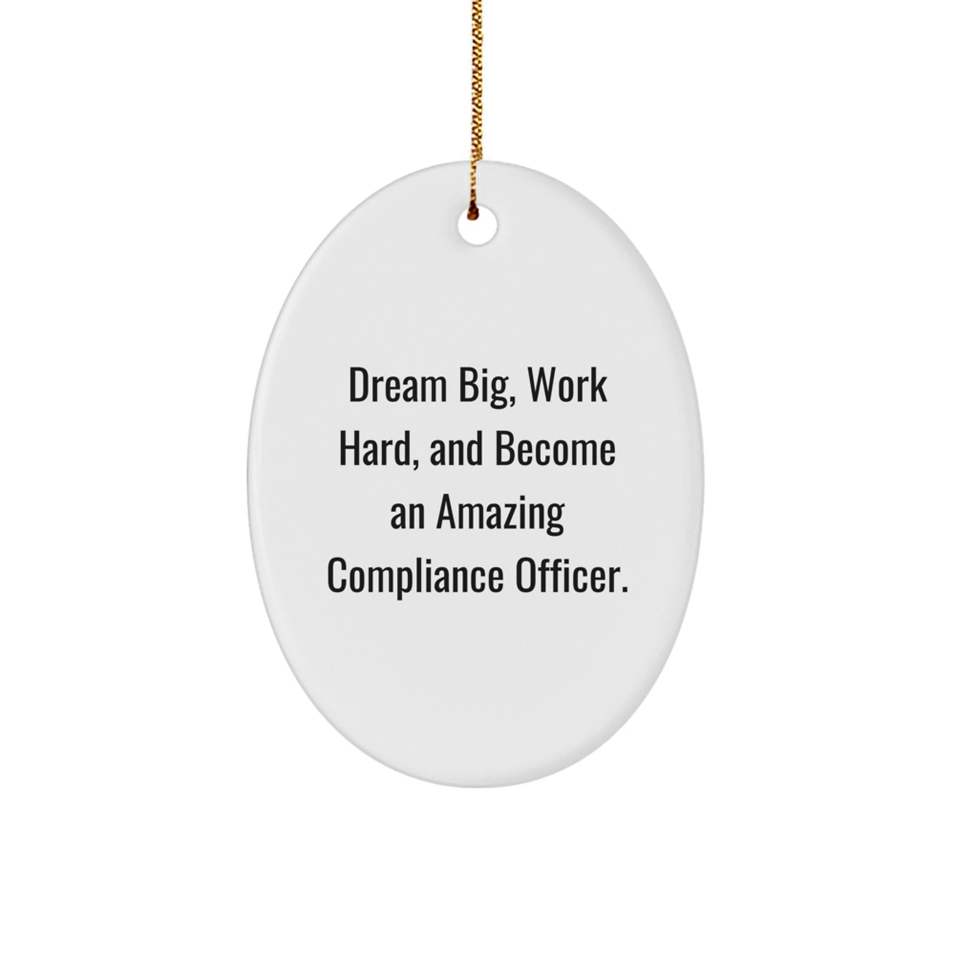 Compliance Officer Gifts from Friends, Funny Oval Ornament with Dream Big Quote, Unique Christmas Unique Gifts for Men, Women, Coworkers, Family - Victory Thru Vision