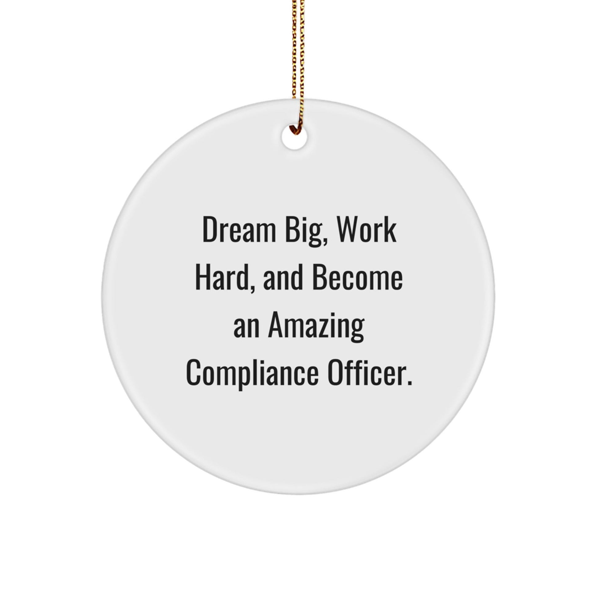 Compliance Officer Gifts: Funny Quote Inspired Circle Ornament, Gifts from Friends, Family, or Coworkers for Compliance Officer, Christmas Unique Gifts for Men or Women - Victory Thru Vision