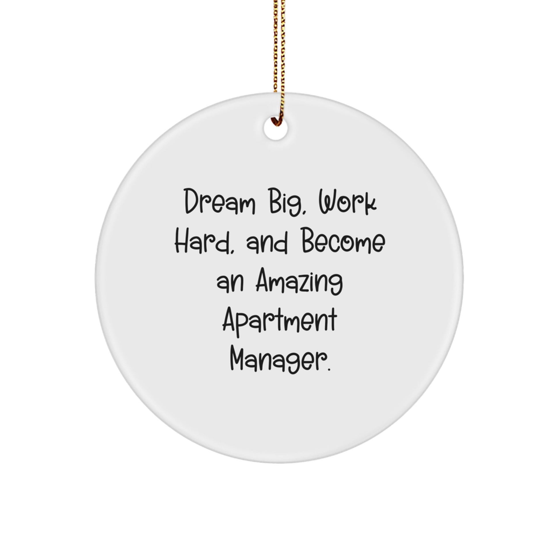 Dream Big, Work Hard, Amazing Apartment Manager Circle Ornament, Funny Quote Gifts from Friends to Family for Christmas, 2.75'' Tall - Victory Thru Vision