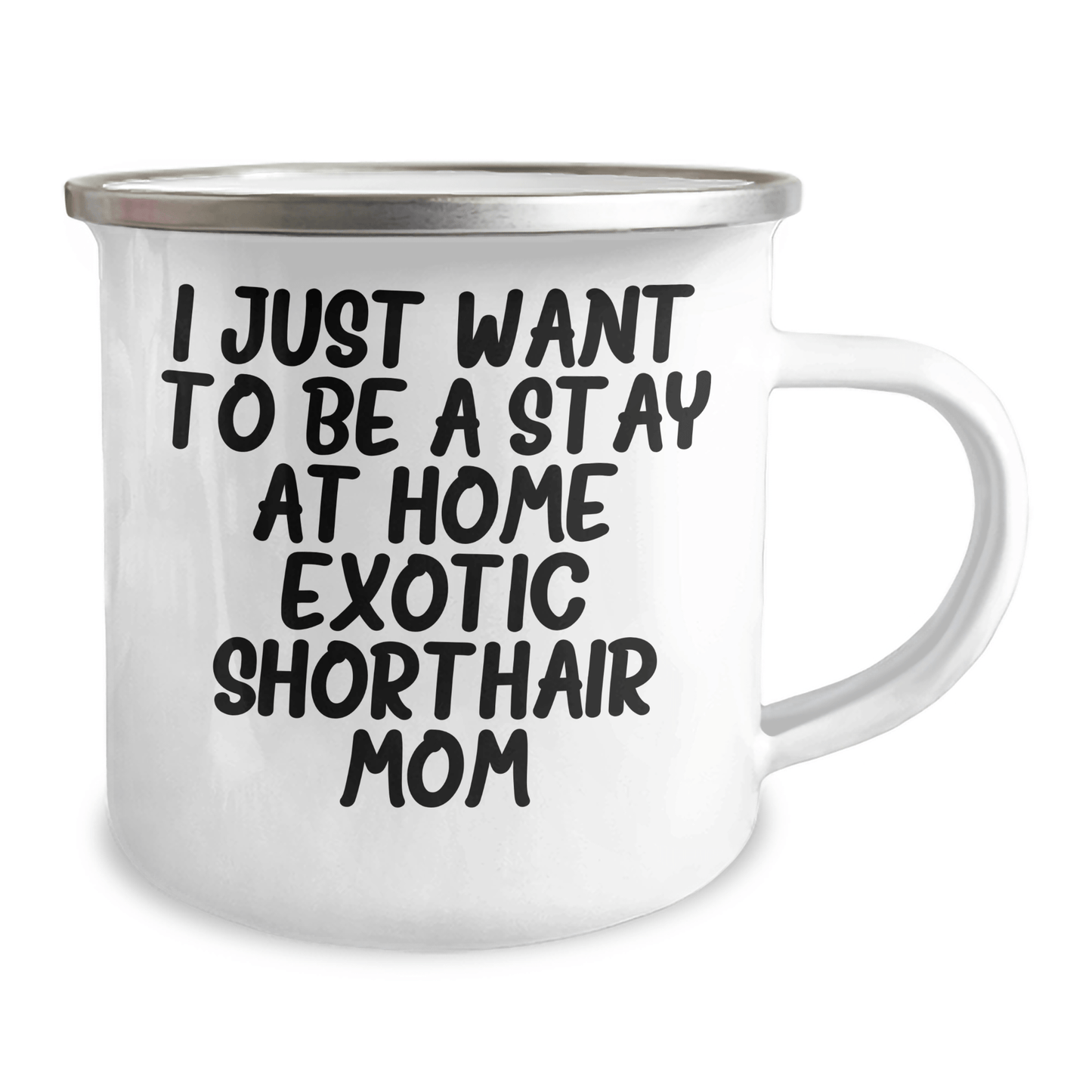 Exotic Shorthair Cat Mom Gifts, Funny Quote Camping Mug for Father's Day, Gifts from Mom to Dad - Victory Thru Vision 