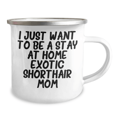 Exotic Shorthair Cat Mom Gifts, Funny Quote Camping Mug for Father's Day, Gifts from Mom to Dad - Victory Thru Vision 