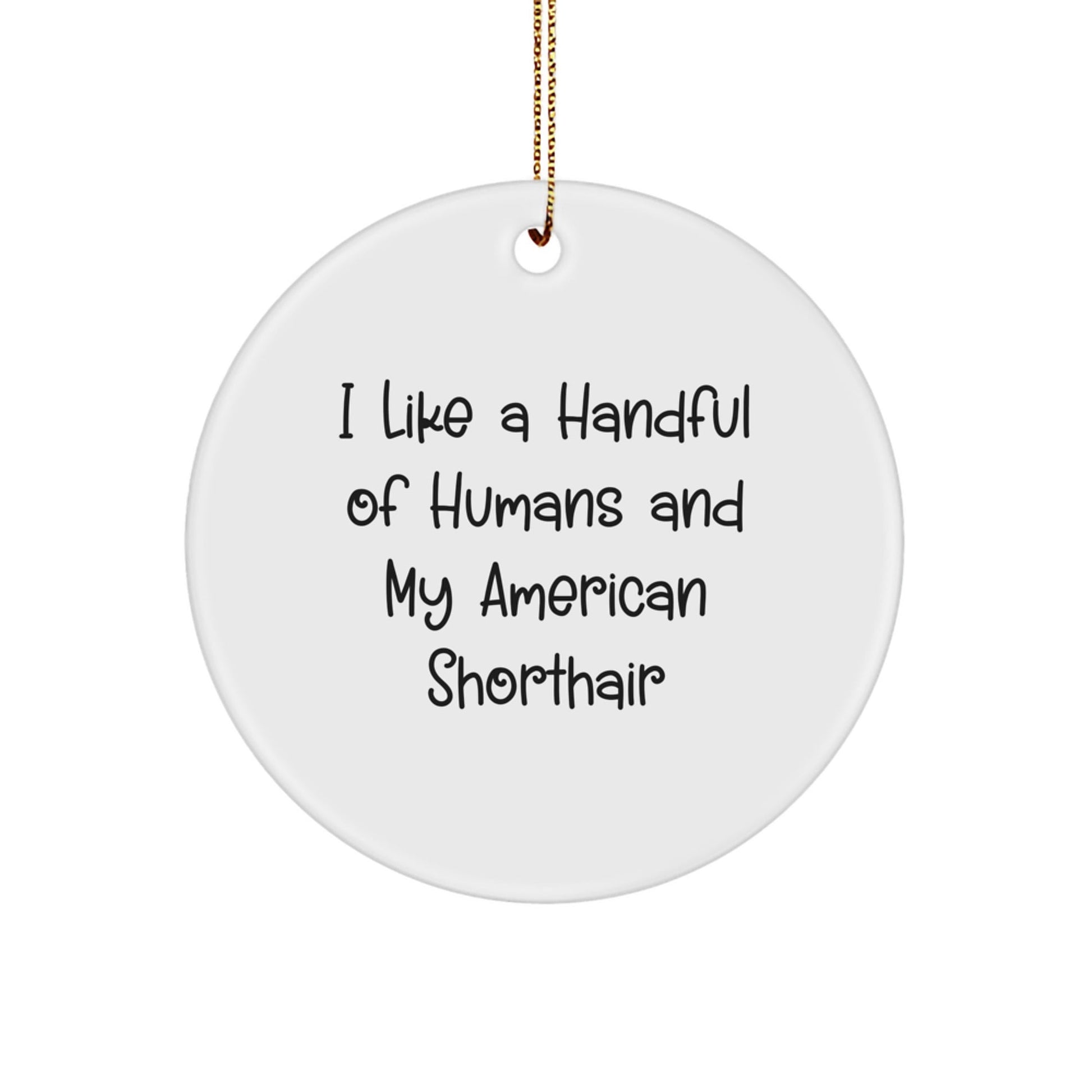 Funny American Shorthair Cat Lover Circle Ornament, Gifts from Friends, Gifts for American Shorthair Cat, Christmas Unique Gift Ideas - Victory Thru Vision
