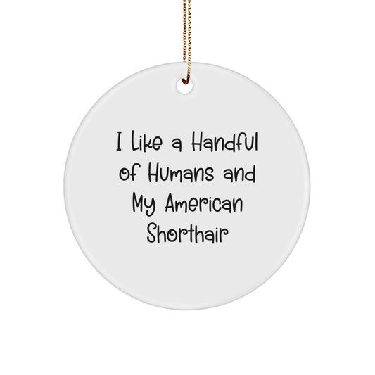Funny American Shorthair Cat Lover Circle Ornament, Gifts from Friends, Gifts for American Shorthair Cat, Christmas Unique Gift Ideas - Victory Thru Vision