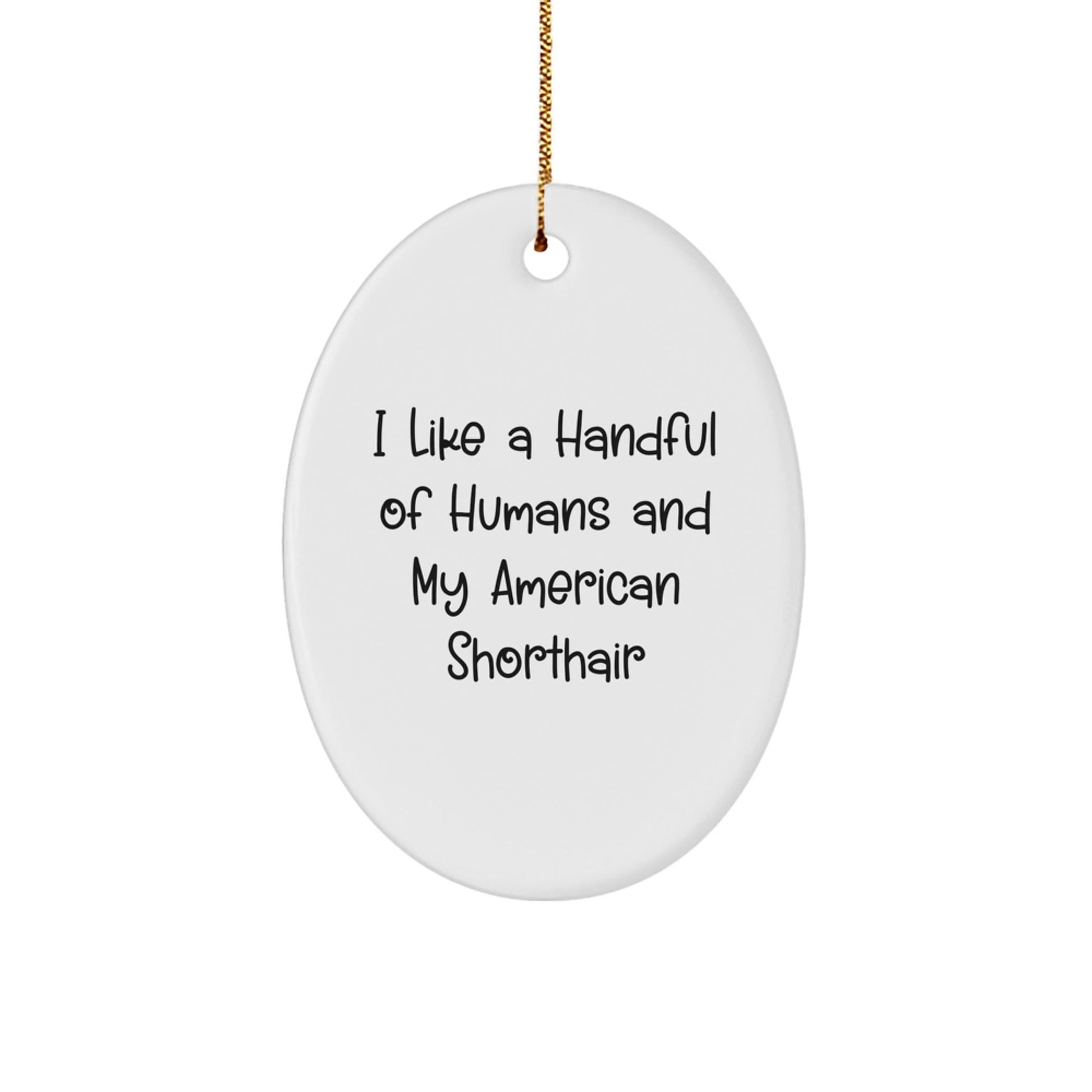 Funny American Shorthair Cat Lovers Gifts for Friends, American Shorthair Cat Oval Ornament Quote, Christmas Unique Gifts from Friends to Family - Victory Thru Vision