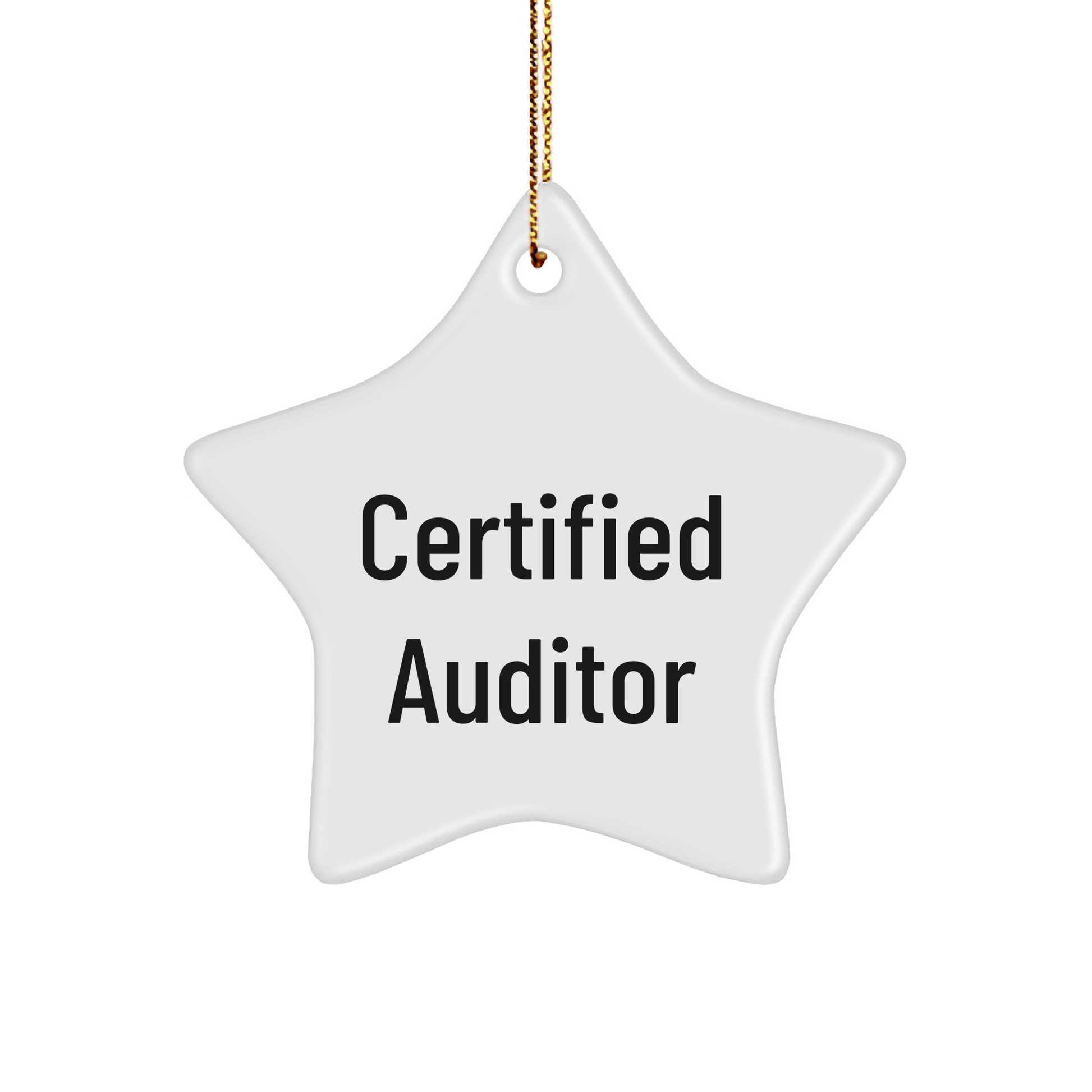 Funny Auditor Gifts for Christmas: Star Ornament with Inspirational Quote 'You're a Star', Gifts from Family, Perfect for Auditor, Men, or Women - Victory Thru Vision 