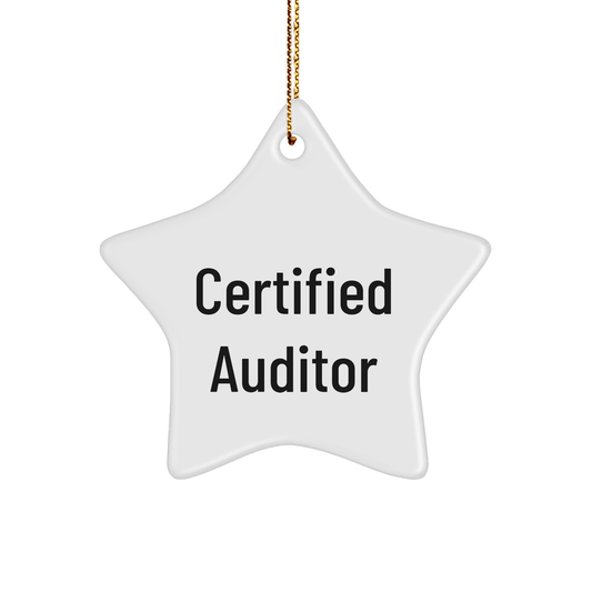 Funny Auditor Gifts for Christmas: Star Ornament with Inspirational Quote 'You're a Star', Gifts from Family, Perfect for Auditor, Men, or Women - Victory Thru Vision 