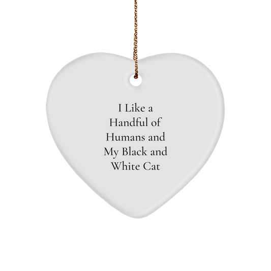 Funny Black and White Cat Christmas Unique Gifts for Friends - Heart Ornament Inspired by 'I Like A Handful Of Humans And My Black And White Cat' - Gifts from Family - Victory Thru Vision