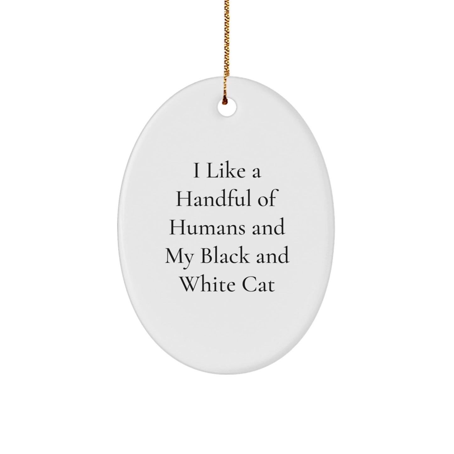 Funny Black and White Cat Gifts for Friends - Oval Ornament with Quote 'I Like A Handful Of Humans And My Black And White Cat' - Christmas Unique Presents from Men - Victory Thru Vision