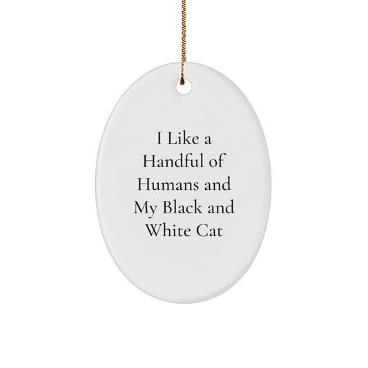 Funny Black and White Cat Gifts for Friends - Oval Ornament with Quote 'I Like A Handful Of Humans And My Black And White Cat' - Christmas Unique Presents from Men - Victory Thru Vision