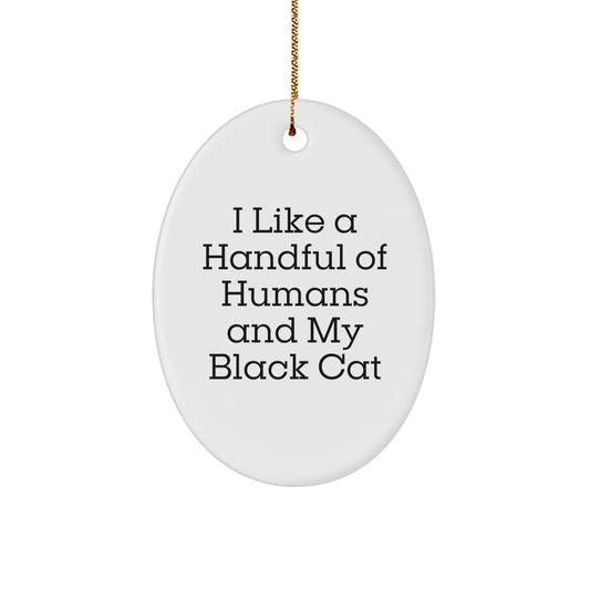 Funny Black Cat Gifts from Men to Black Cat Lovers - Oval Ornament I Like A Handful Of Humans And My Black Cat - Christmas Unique Presents - Victory Thru Vision