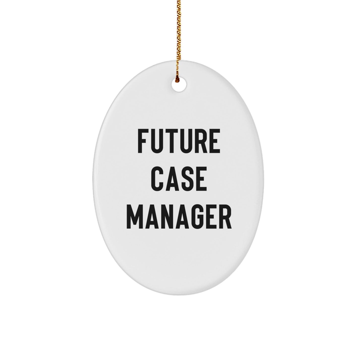 Funny Case Manager Gifts for Future Case Managers, Oval Ornament with Inspirational Quote, Christmas Unique Gifts from Friends to Family - Victory Thru Vision
