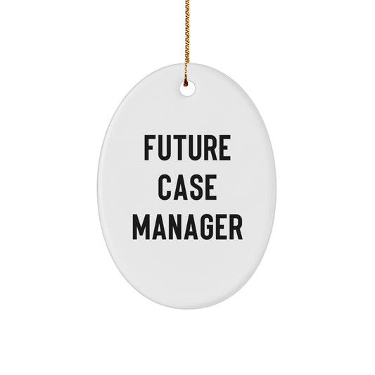 Funny Case Manager Gifts for Future Case Managers, Oval Ornament with Inspirational Quote, Christmas Unique Gifts from Friends to Family - Victory Thru Vision