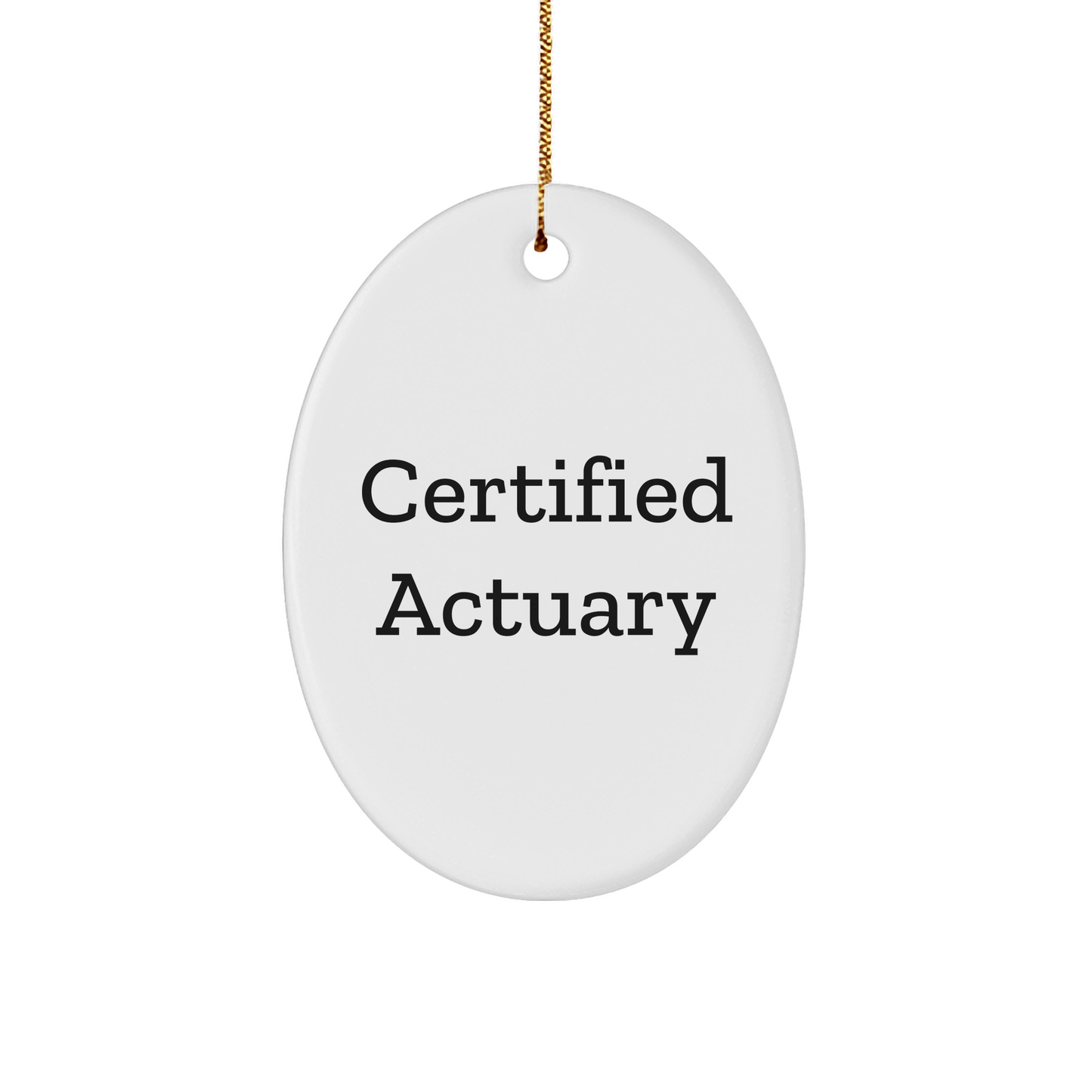 Funny Certified Actuary Oval Ornament Gifts from Friends for Actuaries at Christmas - Victory Thru Vision 