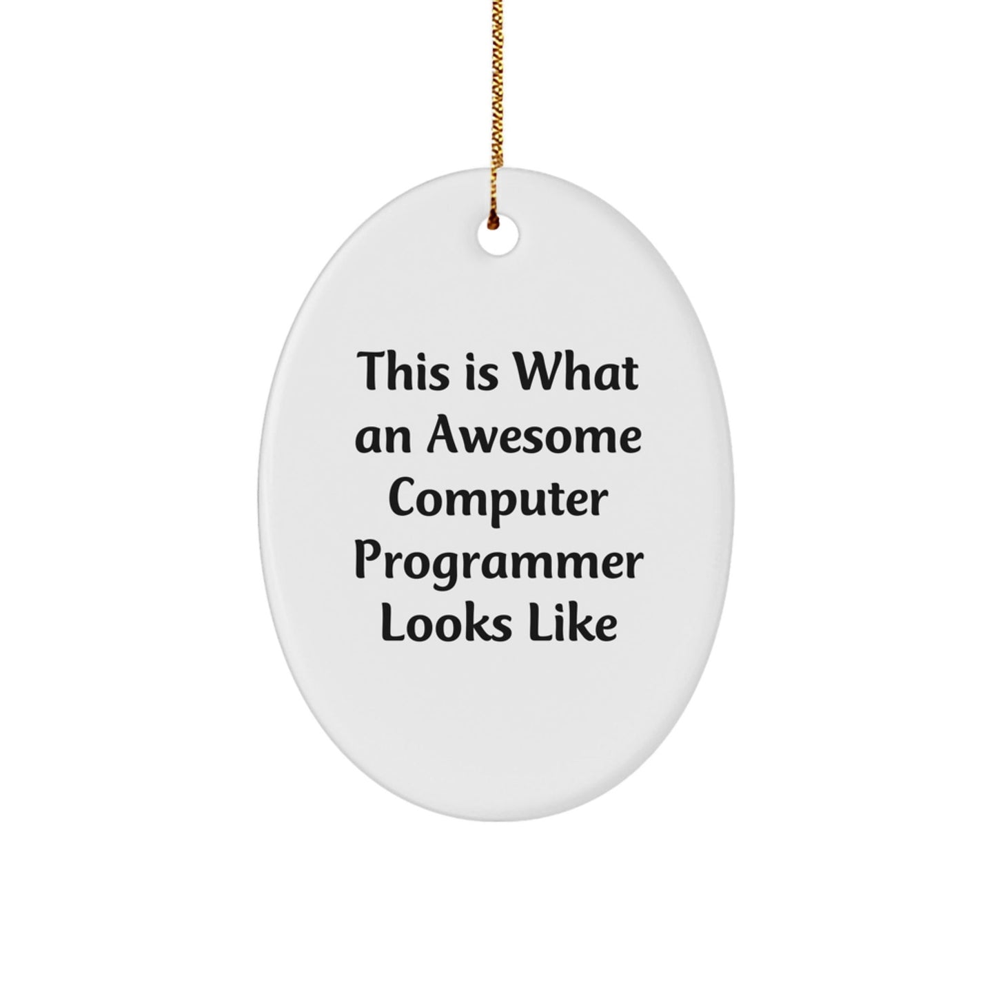 Funny Computer Programmer Gifts from Family - This Is What An Awesome Computer Programmer Looks Like Oval Ornament for Christmas - Victory Thru Vision