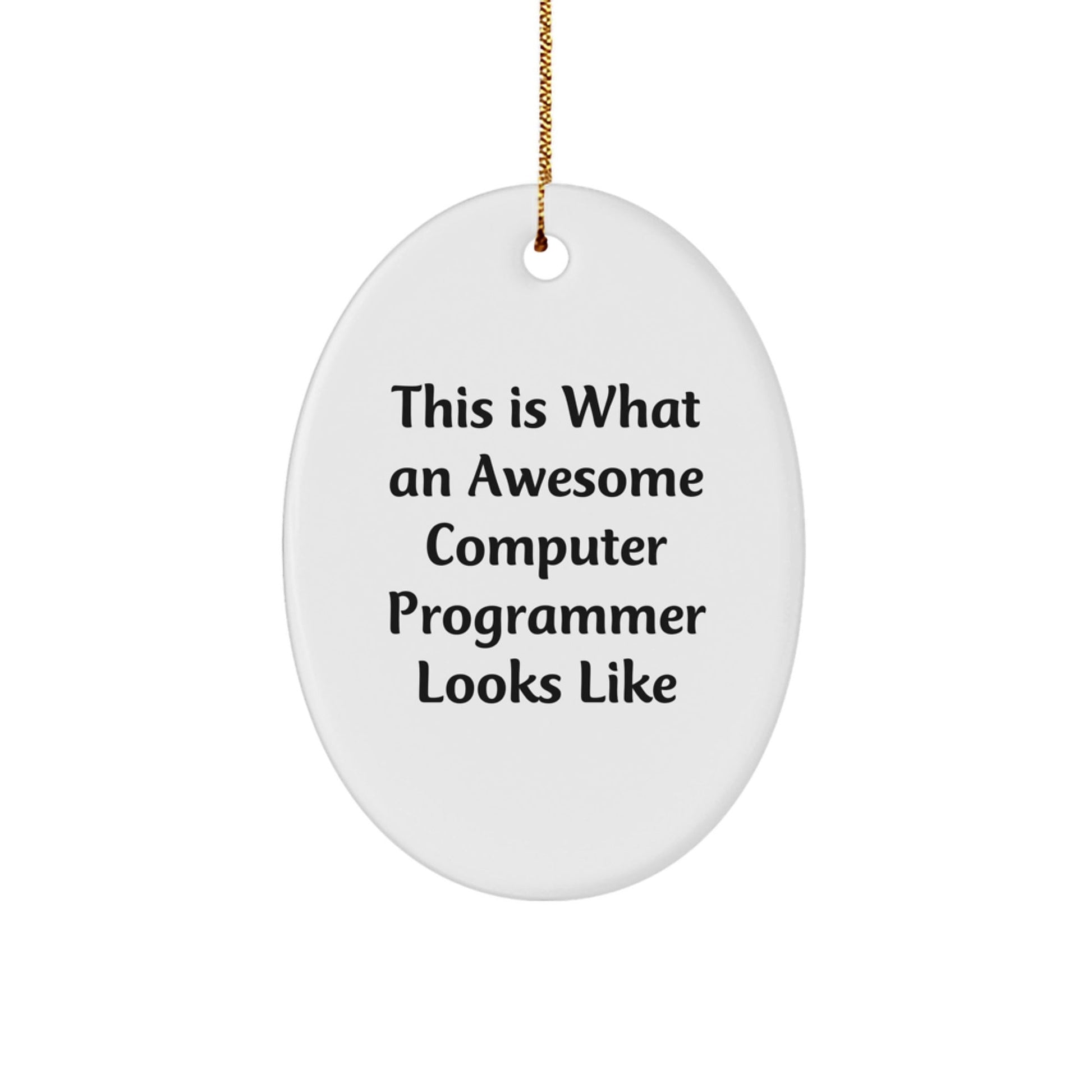 Funny Computer Programmer Gifts from Family - This Is What An Awesome Computer Programmer Looks Like Oval Ornament for Christmas - Victory Thru Vision