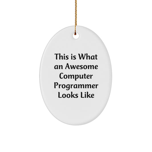 Funny Computer Programmer Gifts from Family - This Is What An Awesome Computer Programmer Looks Like Oval Ornament for Christmas - Victory Thru Vision