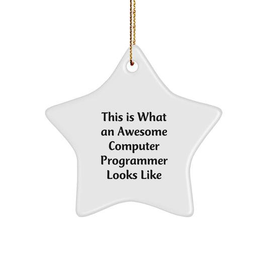 Funny Computer Programmer Gifts from Friends - This Is What An Awesome Computer Programmer Looks Like, Star Ornament, Christmas Unique Gifts for Men, Women, or Coworkers - Victory Thru Vision