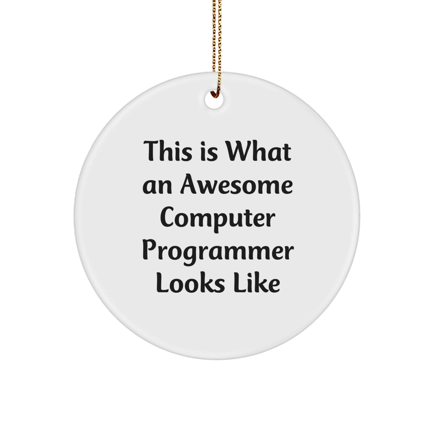 Funny Computer Programmer Gifts from Friends - This Is What Awesome Looks Like Circle Ornament for Men, Women, Coworkers, or Family - Unique Christmas Memorable Presents - Victory Thru Vision