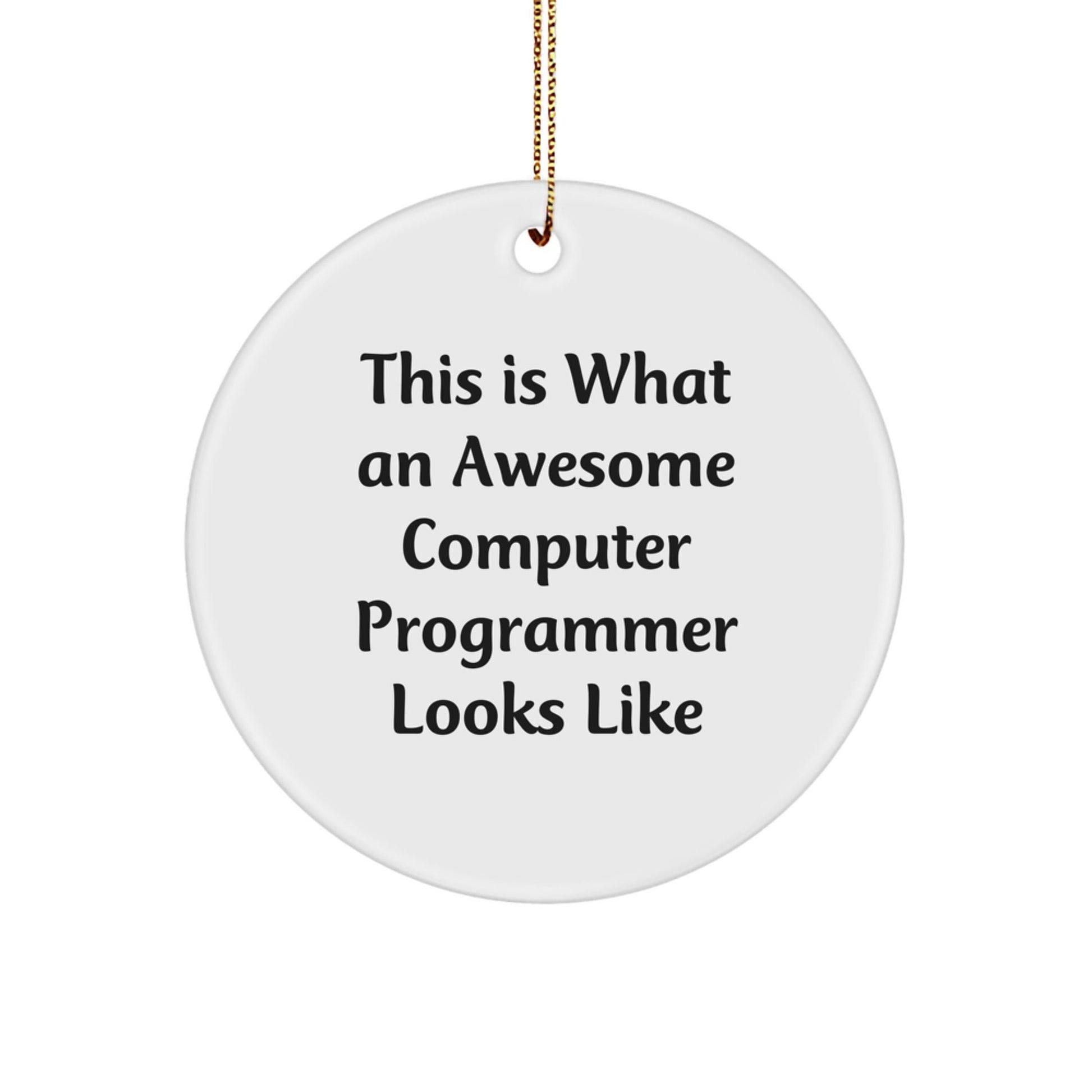 Funny Computer Programmer Gifts from Friends - This Is What Awesome Looks Like Circle Ornament for Men, Women, Coworkers, or Family - Unique Christmas Memorable Presents - Victory Thru Vision