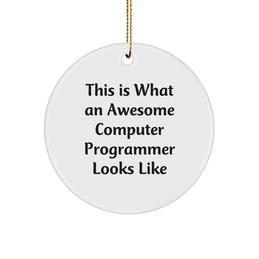 Funny Computer Programmer Gifts from Friends - This Is What Awesome Looks Like Circle Ornament for Men, Women, Coworkers, or Family - Unique Christmas Memorable Presents - Victory Thru Vision