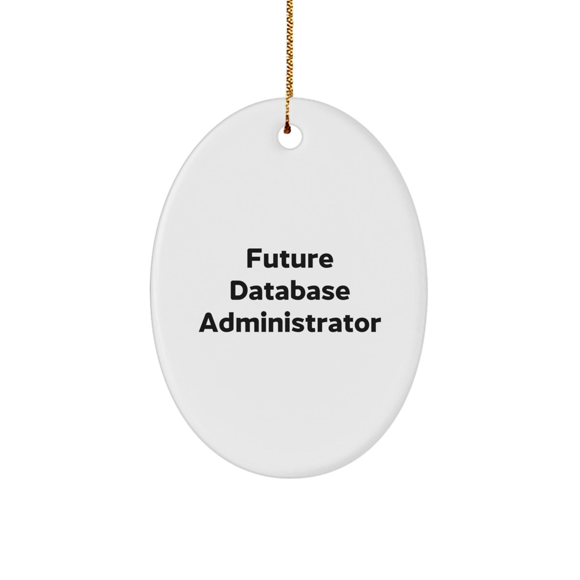 Funny Database Administrator Gifts from Friends, Quotes for Future Database Administrator Oval Ornament, Christmas Unique Gifts for Him - Victory Thru Vision