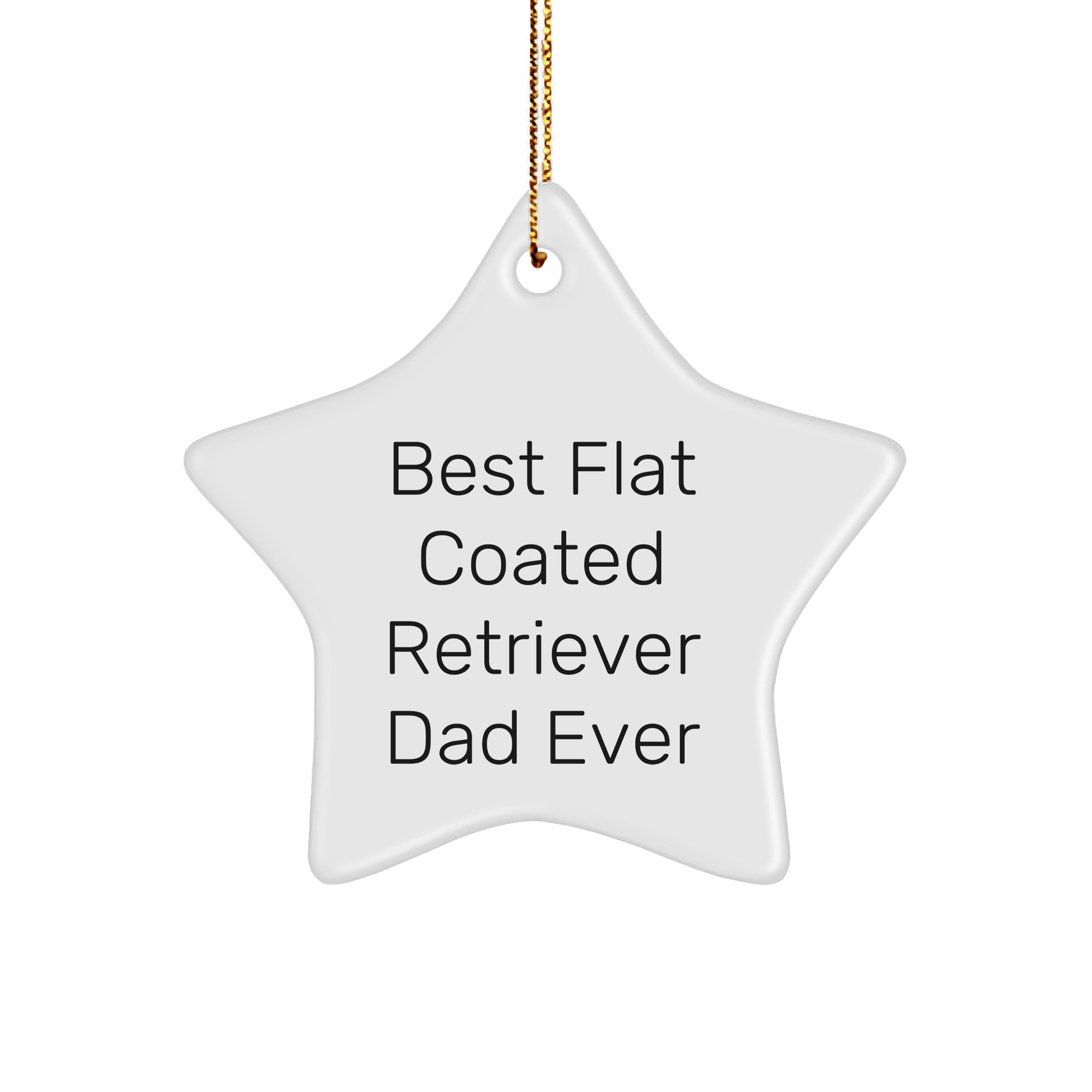 Funny Flat Coated Retriever Dog Gifts for Dad or Friend - Christmas Star Ornament 'Best Flat Coated Retriever Dad Ever' from Family or Friends - Victory Thru Vision 