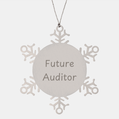 Funny Future Auditor Snowflake Ornament Gifts from Friends for Christmas, Shatterproof and Durable - Victory Thru Vision