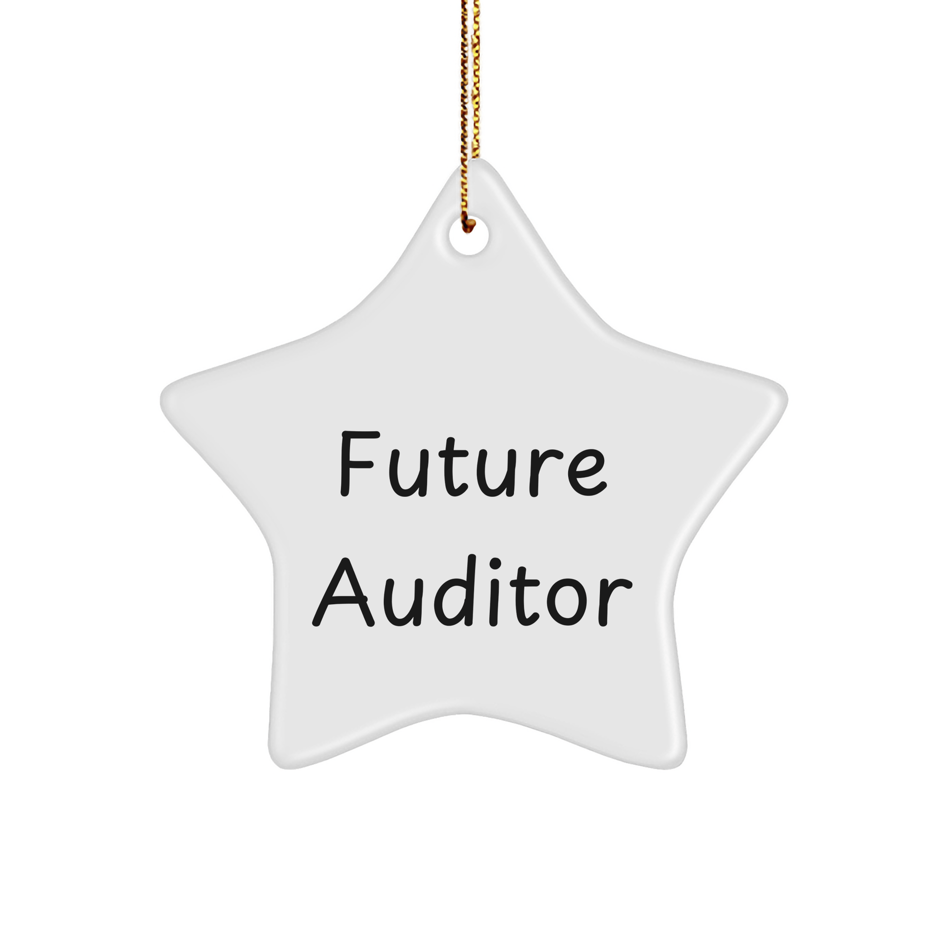Funny Future Auditor Star Ornament Gifts from Men to Auditor for Christmas - 'Believe You Can and You're Halfway There' Quote - Victory Thru Vision