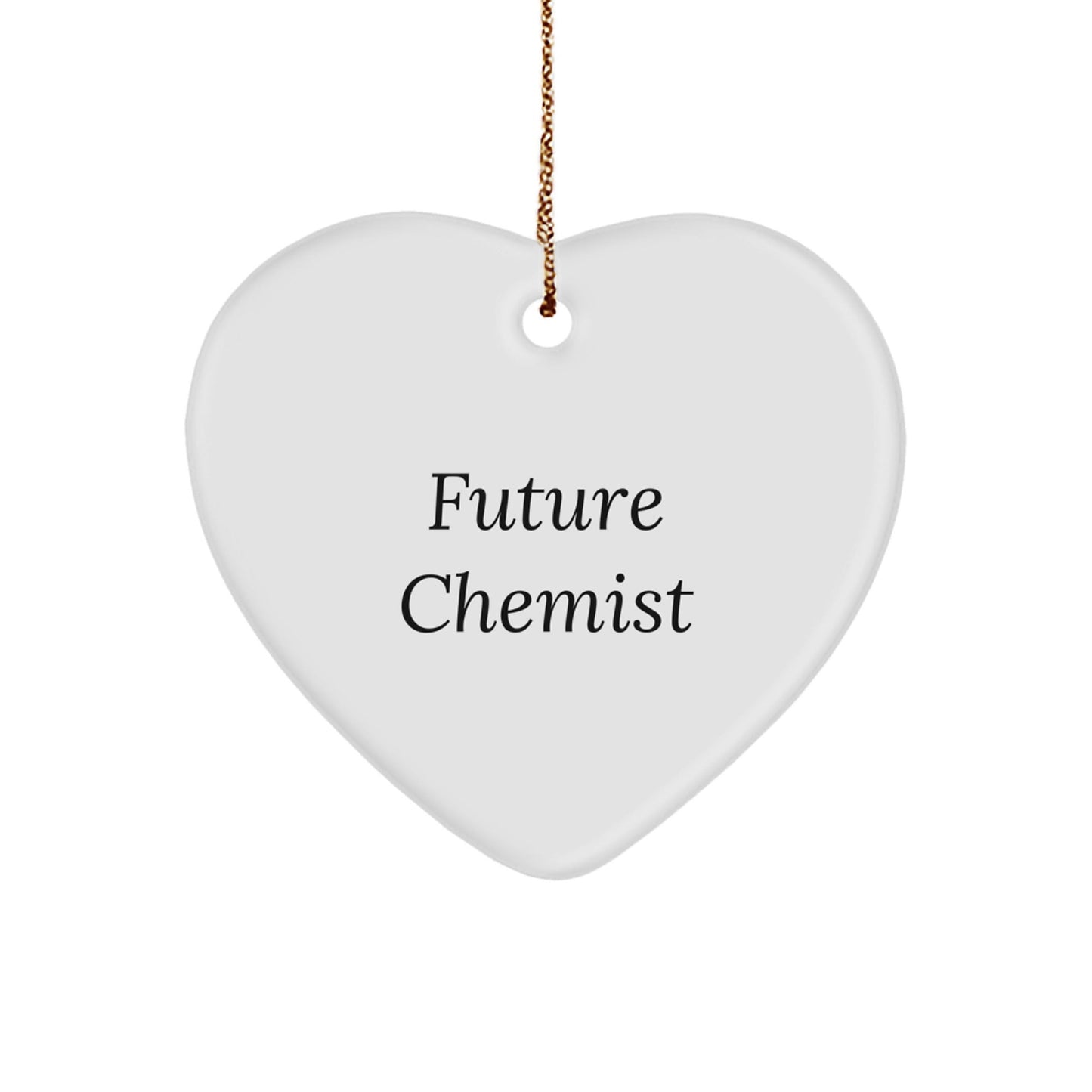 Funny Future Chemist Gifts from Family, Heart Ornament for Christmas with Inspirational Quote, 'You are a future chemist...' - Victory Thru Vision