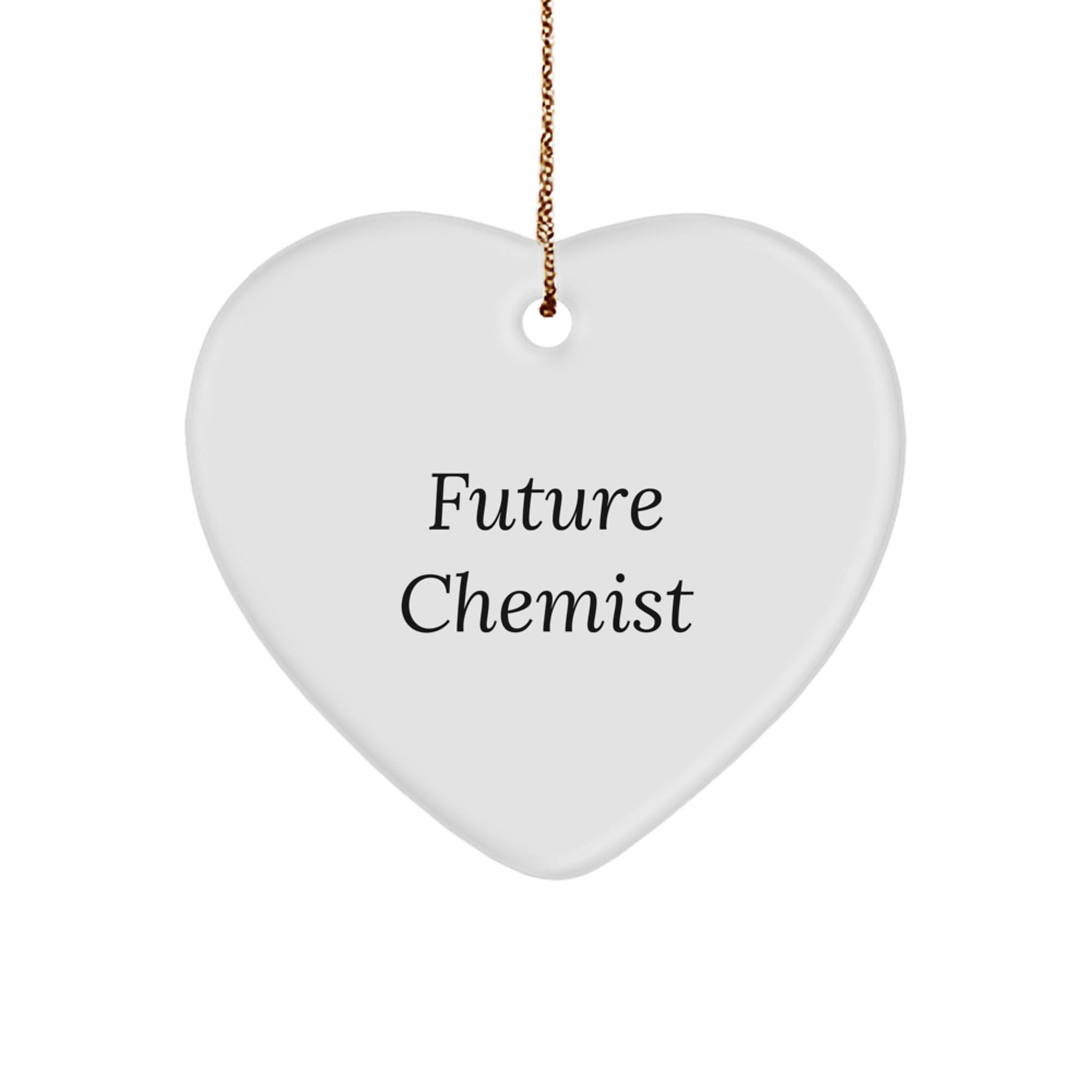 Funny Future Chemist Gifts from Family, Heart Ornament for Christmas with Inspirational Quote, 'You are a future chemist...' - Victory Thru Vision