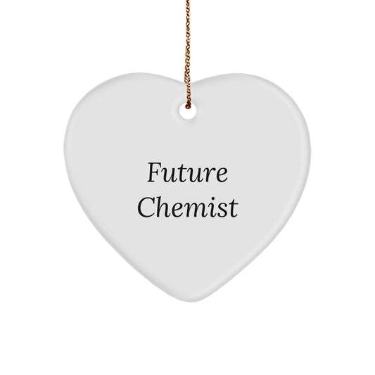 Funny Future Chemist Gifts from Family, Heart Ornament for Christmas with Inspirational Quote, 'You are a future chemist...' - Victory Thru Vision