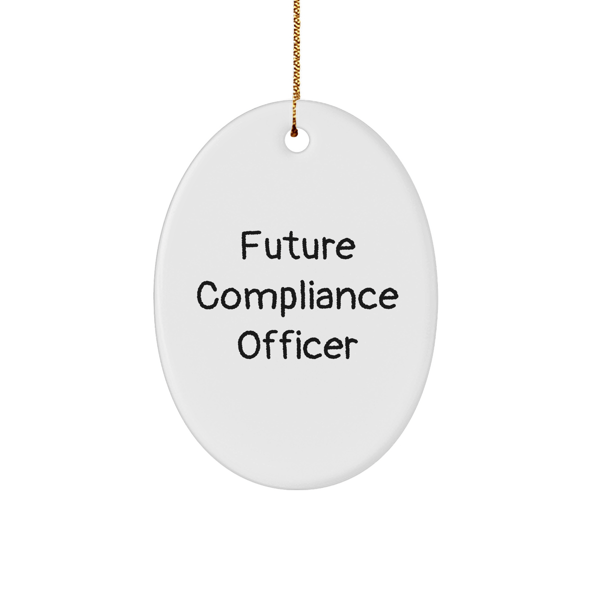 Funny Future Compliance Officer Oval Ornament Gifts from Friends to Compliance Officer, Inspirational Christmas Decor - Victory Thru Vision