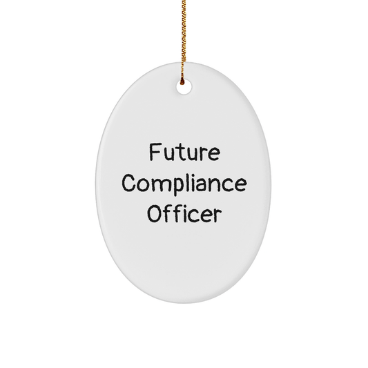Funny Future Compliance Officer Oval Ornament Gifts from Friends to Compliance Officer, Inspirational Christmas Decor - Victory Thru Vision