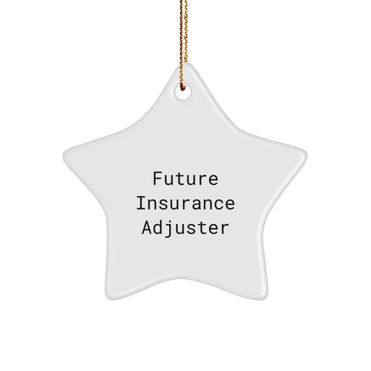 Funny Future Insurance Adjuster Gifts from Friends, Christmas Unique Star Ornaments for Insurance Adjuster, Inspirational Quote, Gifts for Insurance Adjuster - Victory Thru Vision