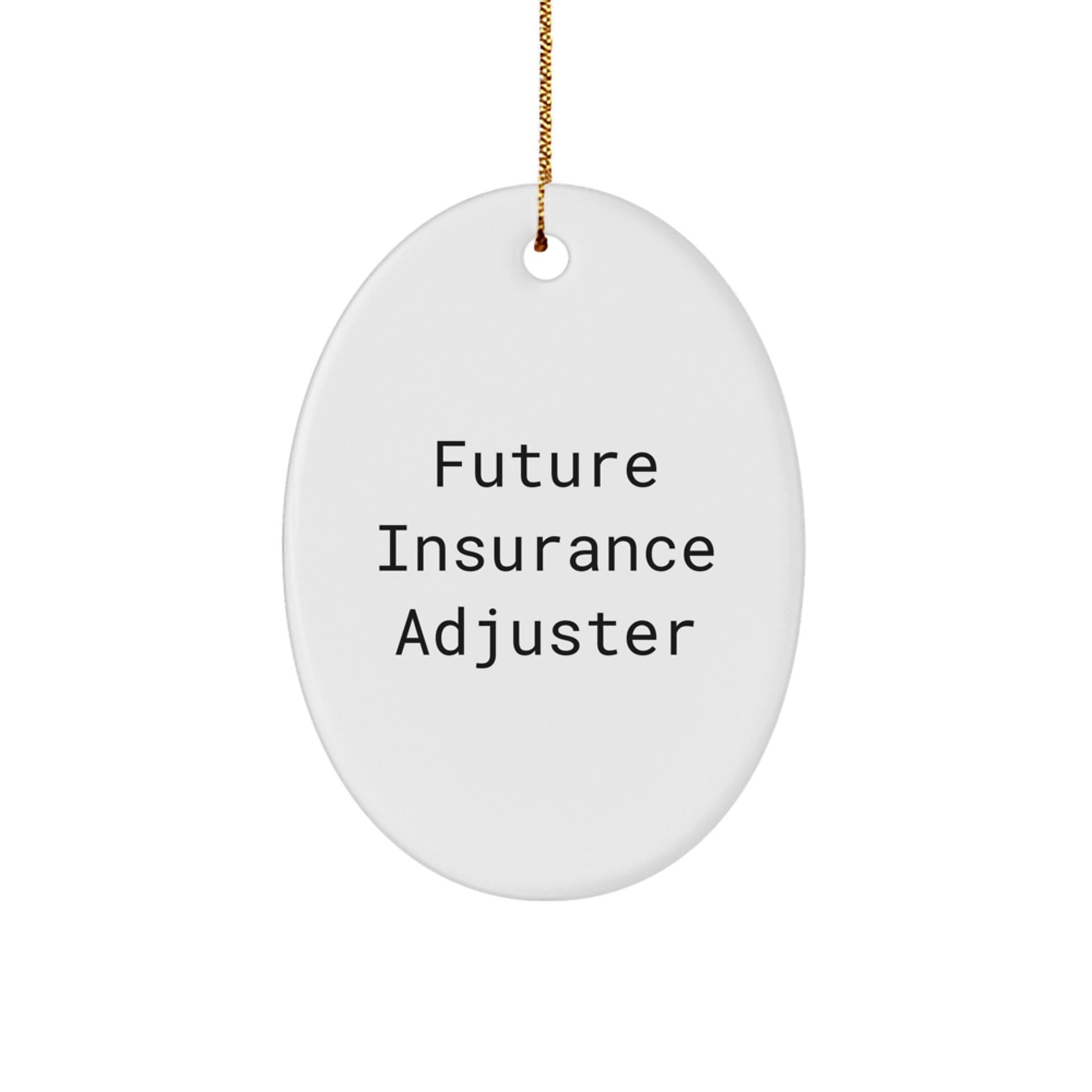 Funny Future Insurance Adjuster Oval Ornament Gifts from Family to Insurance Adjuster Friends at Christmas - Victory Thru Vision
