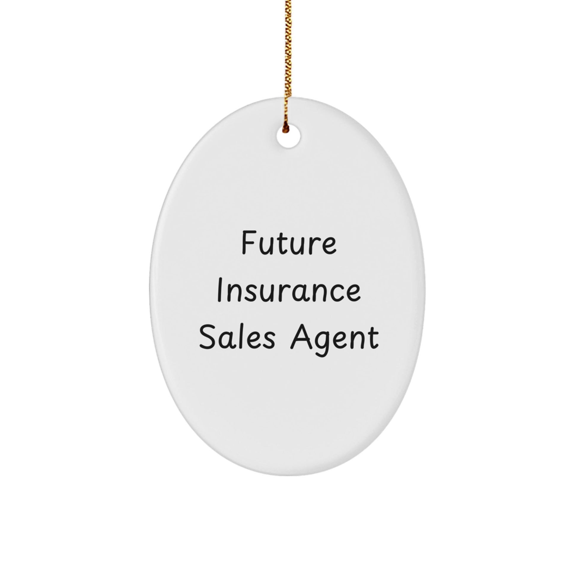 Funny Future Insurance Sales Agent Gifts from Family to Insurance Sales Agent Friends - Christmas Unique Oval Ornament for Insurance Sales Agent Pros - Victory Thru Vision