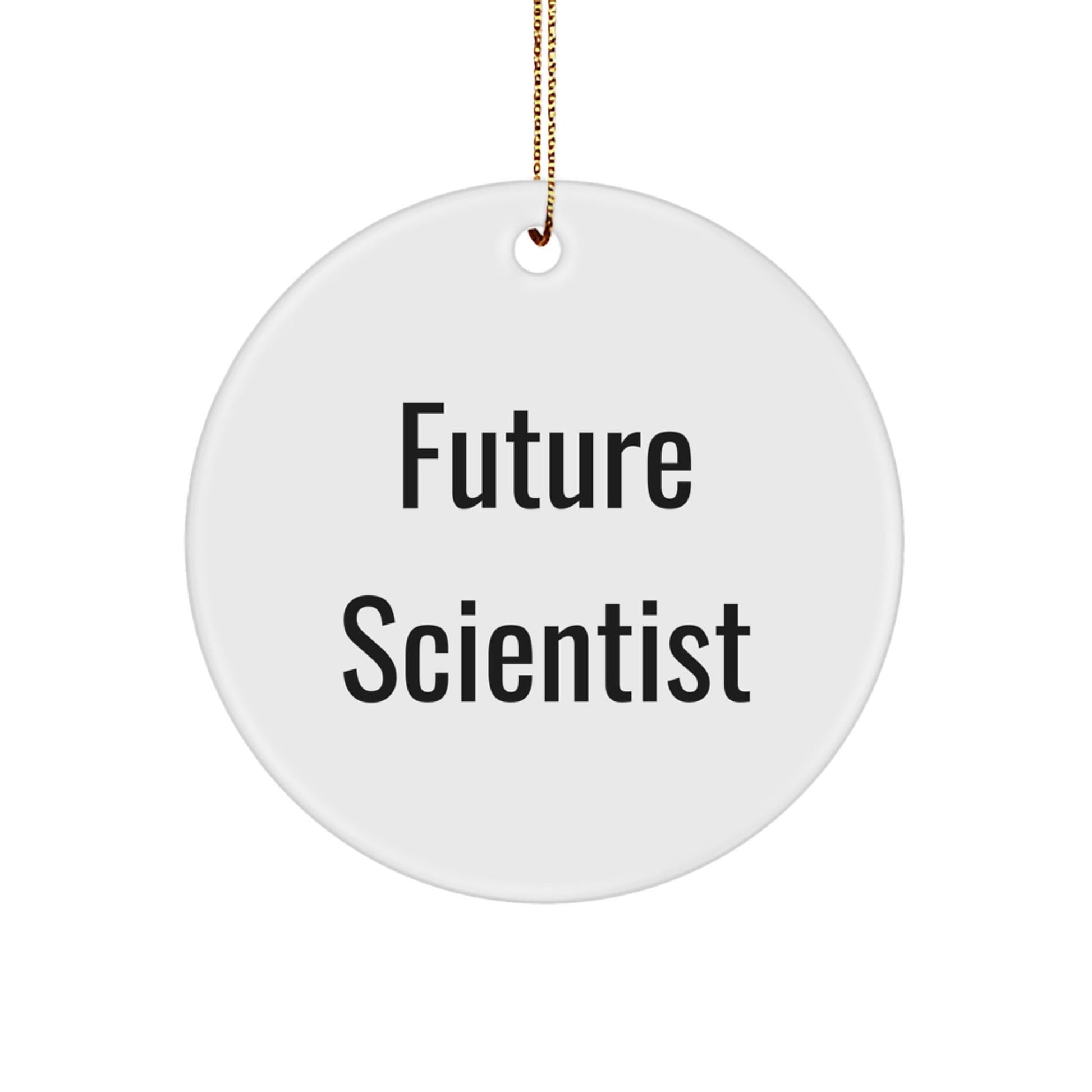 Funny Future Scientist Christmas Circle Ornament Gifts for Men from Friends, Cute Scientist Gifts, Circle Ornament, Inspirational Quote - Victory Thru Vision