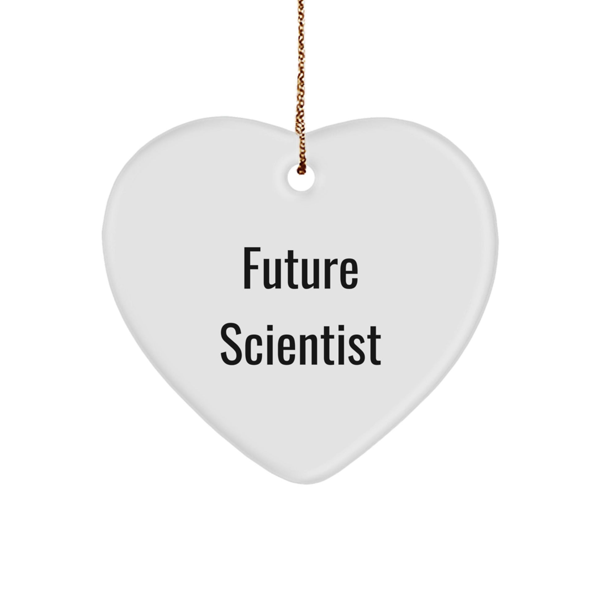 Funny Future Scientist Gifts from Friends - Heart Ornament for Scientist Christmas Unique Gift Ideas - Victory Thru Vision