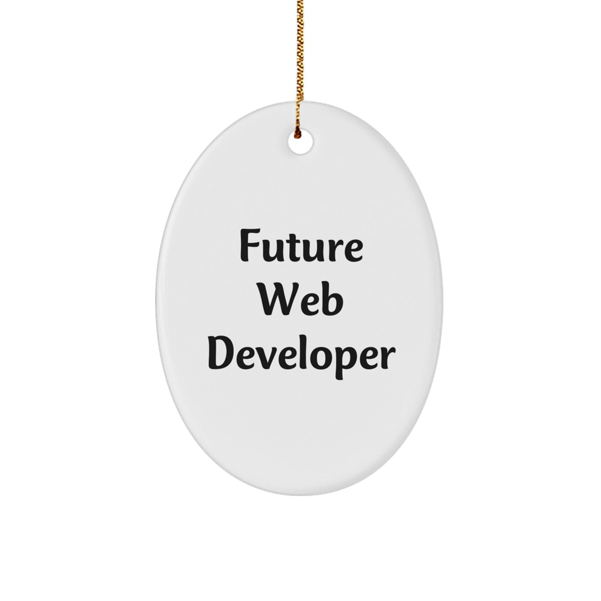 Funny Future Web Developer Gifts Oval Ornament, Gifts from Friends for Web Developer, Web Developer Christmas Unique Gifts - Victory Thru Vision