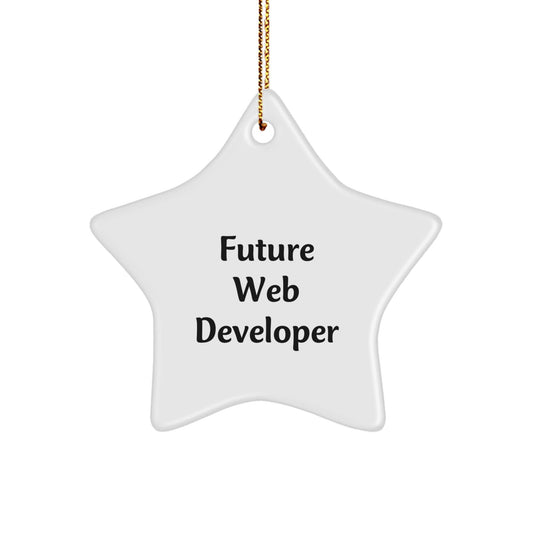 Funny Future Web Developer Star Ornament, Gifts from Family, for Web Developer, Unique Christmas Unique Gifts, Inspirational Quote - Victory Thru Vision
