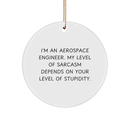 Funny Gift for Aerospace Engineer, Circle Ornament with Sarcastic Quote, Gifts from Men to Women, Friends, or Coworkers, Christmas Unique Ornament for Aerospace Engineers - Victory Thru Vision 