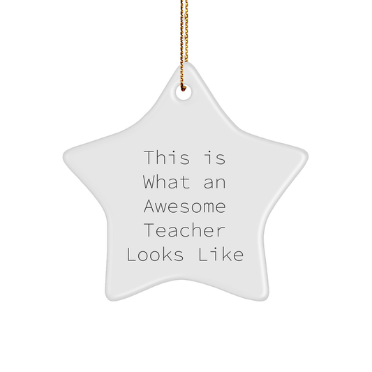 Funny Inspirational Teacher Gifts for Christmas, 'This Is What An Awesome Teacher Looks Like' Star Ornament from Friends and Family - Victory Thru Vision 