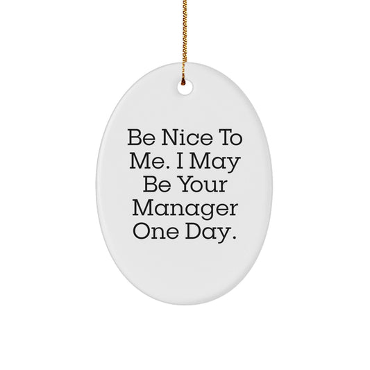 Funny Manager Gifts from Friends for Christmas Manager Oval Ornament, 'Be Nice To Me. I May Be Your Manager One Day.' - Victory Thru Vision