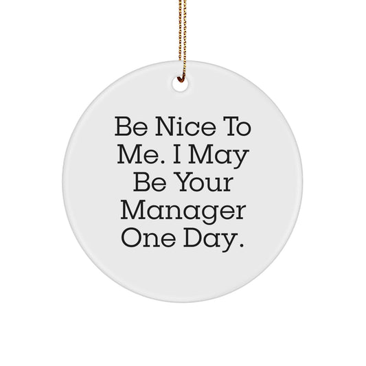Funny Manager Gifts from Friends to Manager - Be Nice To Me. I May Be Your Manager One Day. Christmas Circle Ornament - Victory Thru Vision