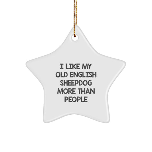 Funny Old English SheepDog Gifts for Friends, Star Ornament with Quote 'I Like My Old English SheepDog More Than People', Gifts from the Heart for Christmas Unique Gifts - Victory Thru Vision