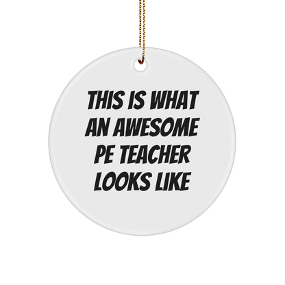 Funny PE Teacher Gifts, This Is What An Awesome PE Teacher Looks Like, Circle Ornament for Men, Women, Friends, Coworkers, Family, Christmas Unique Gifts from - Victory Thru Vision 